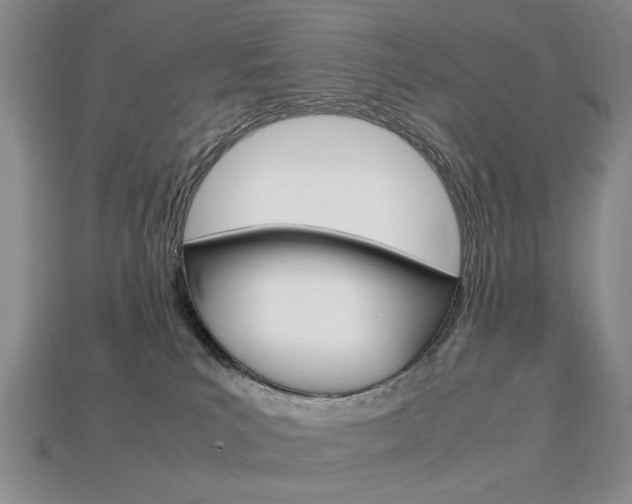 X0000113850039200909241014