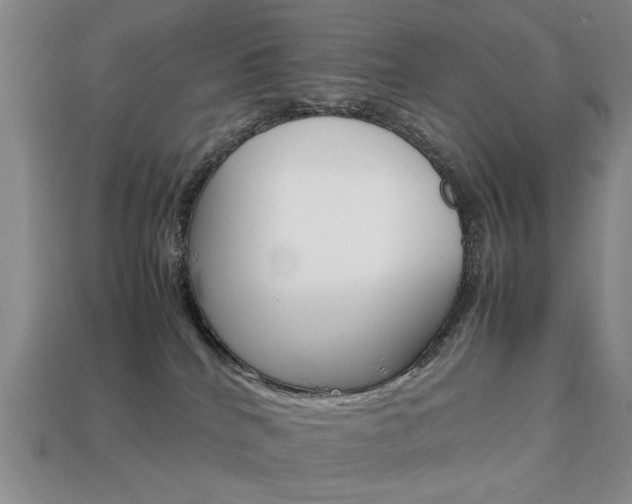 X0000113850040200909241014