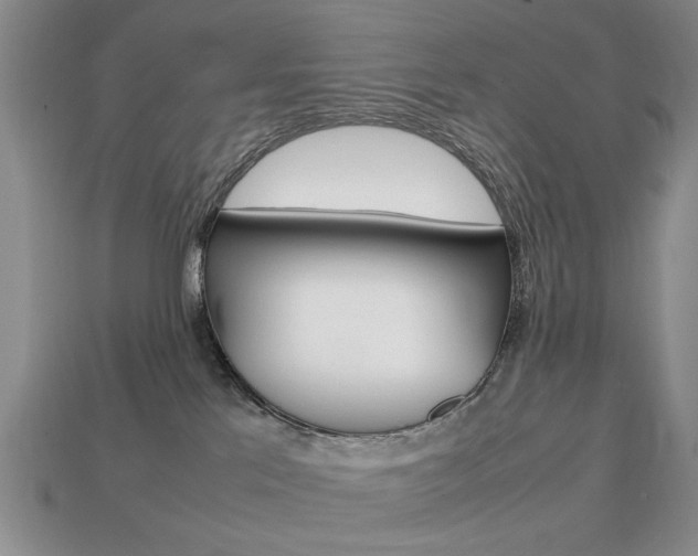 X0000113850041200909241014