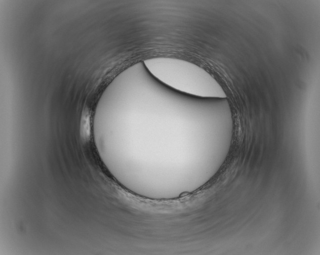 X0000113850042200909241014