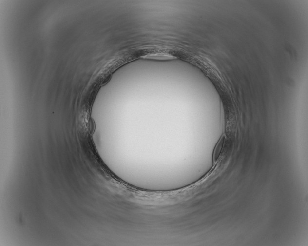 X0000113850045200909241014