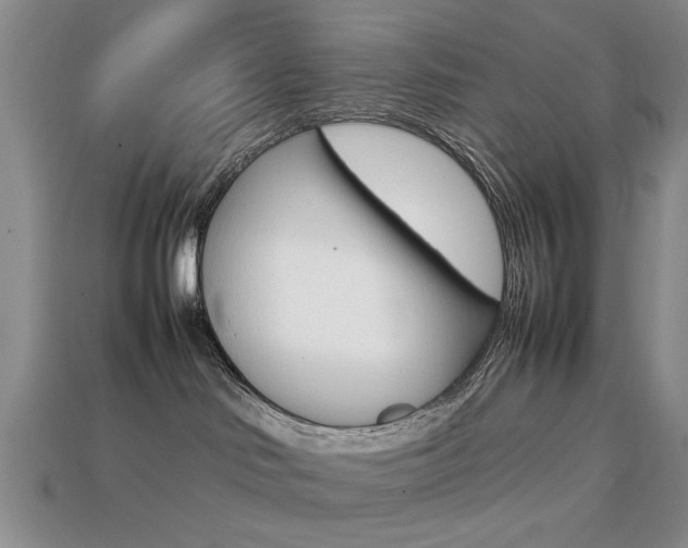 X0000113850046200909241014