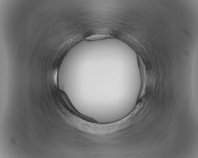 X0000113850047200909241014