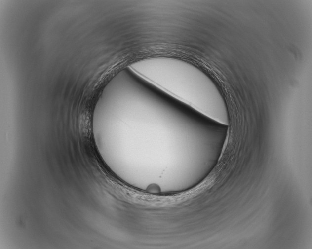 X0000113850048200909241014