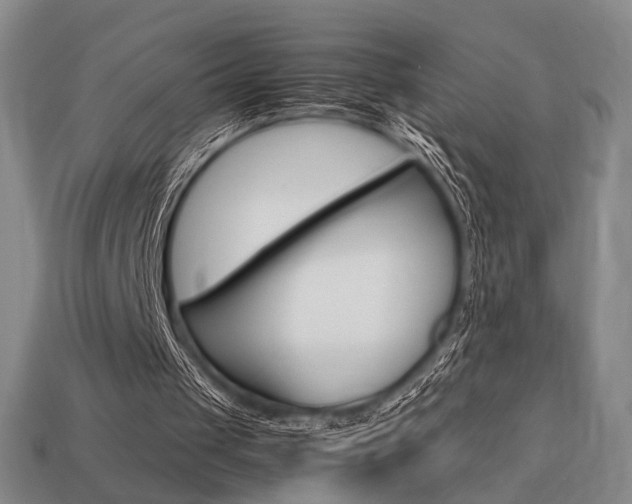 X0000113850049200909241013