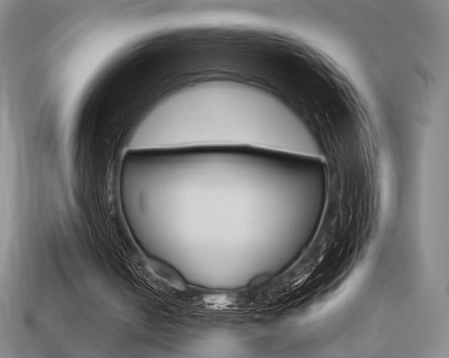 X0000113850050200909241013