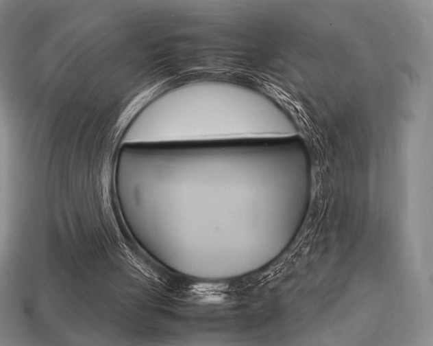 X0000113850051200909241013