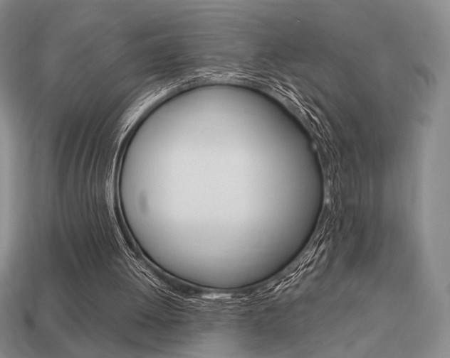 X0000113850052200909241014