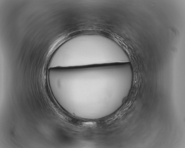 X0000113850053200909241014