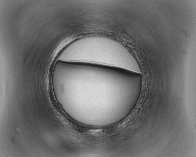 X0000113850054200909241014