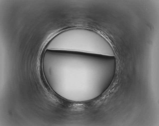 X0000113850055200909241014