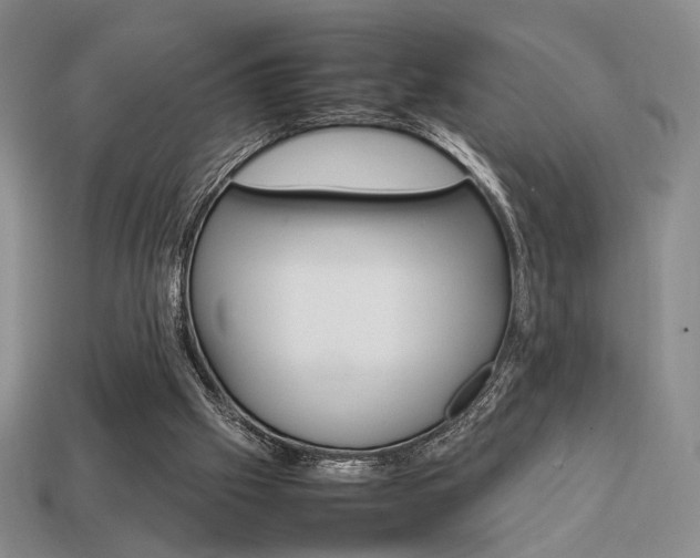 X0000113850057200909241014