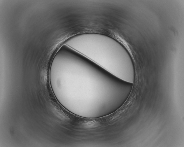 X0000113850059200909241014