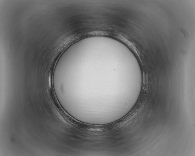 X0000113850061200909241014