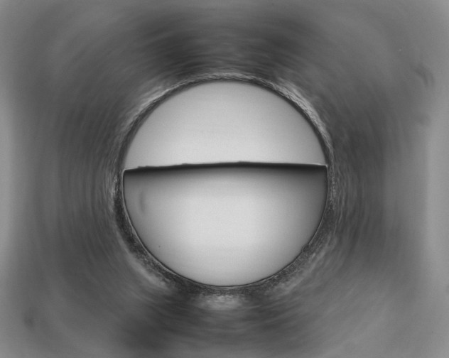 X0000113850063200909241014