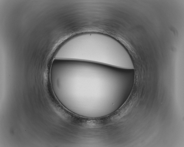 X0000113850064200909241014