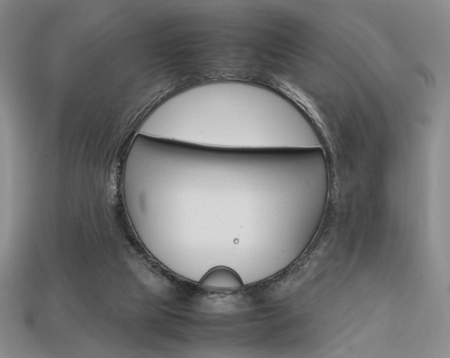 X0000113850065200909241014