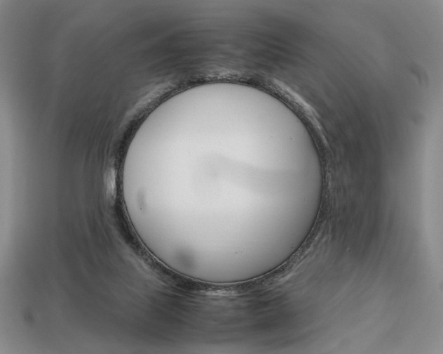 X0000113850067200909241014