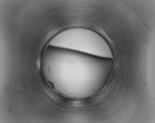 X0000113850068200909241014