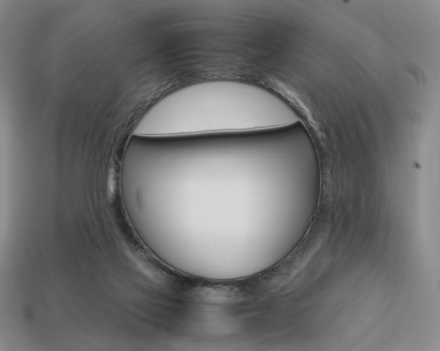 X0000113850069200909241014