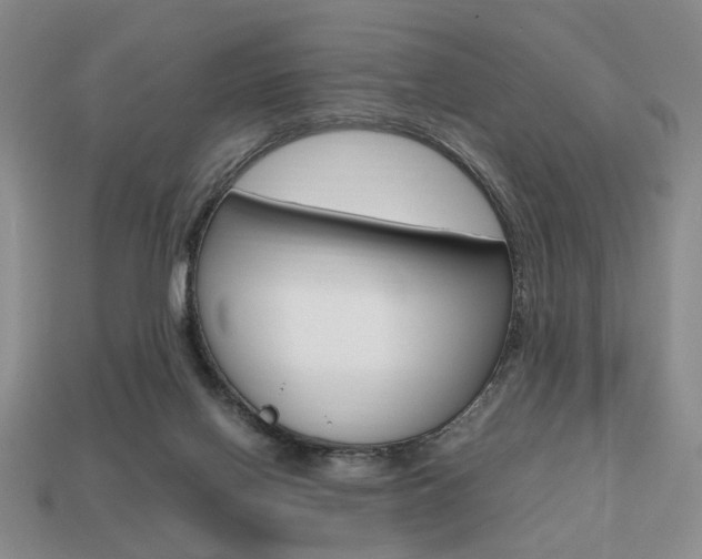 X0000113850070200909241014