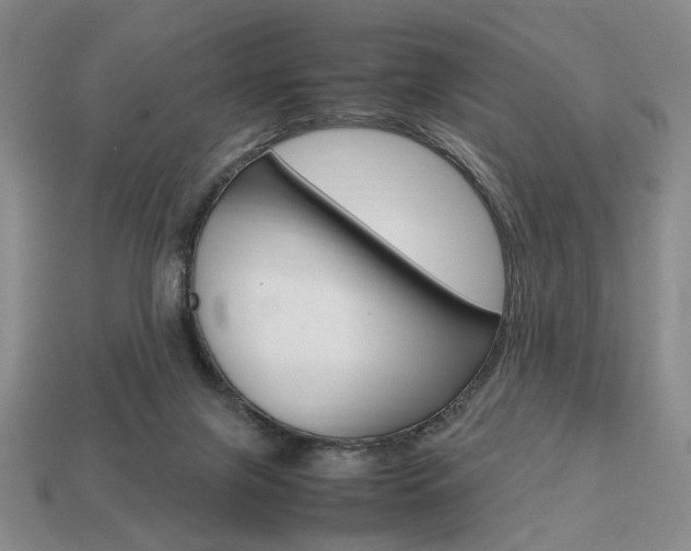 X0000113850071200909241014