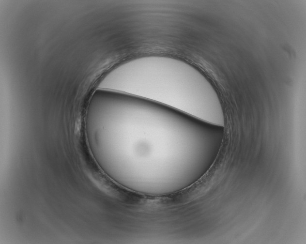 X0000113850072200909241014