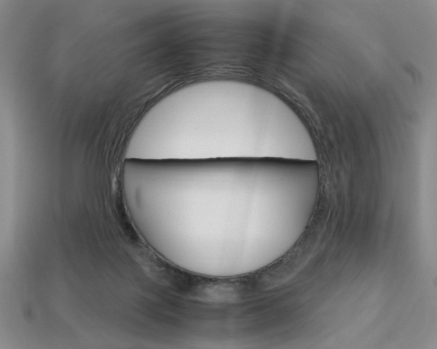 X0000113850075200909241014