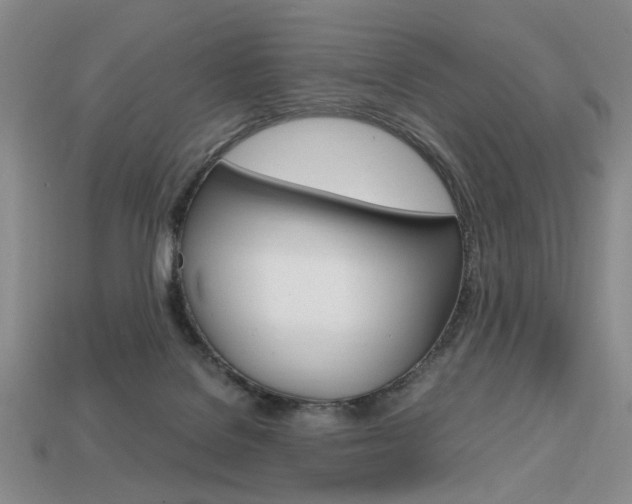 X0000113850076200909241014