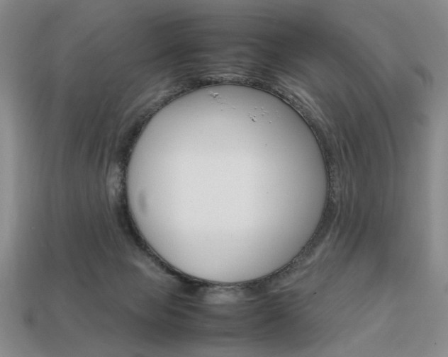 X0000113850077200909241014