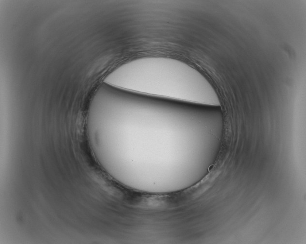 X0000113850078200909241014