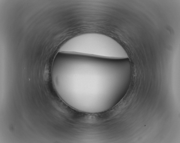 X0000113850080200909241014