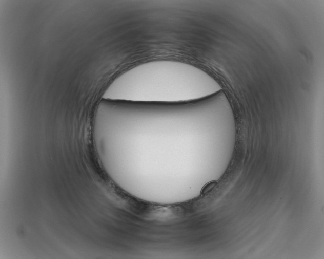 X0000113850083200909241014