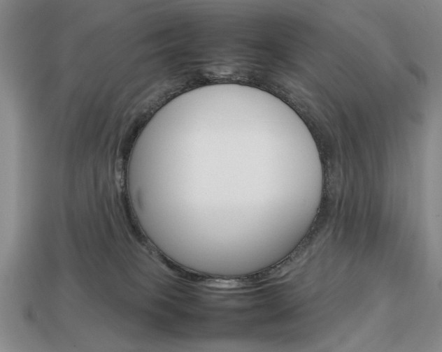 X0000113850085200909241014