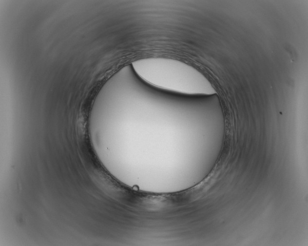 X0000113850086200909241014