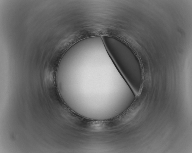 X0000113850088200909241014