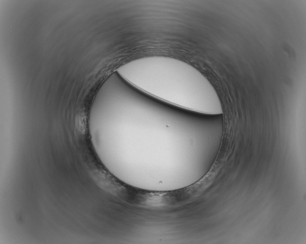 X0000113850090200909241014