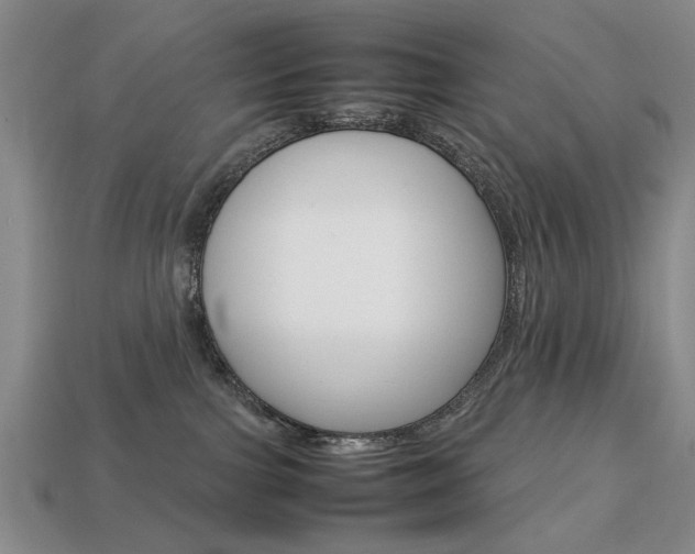 X0000113850091200909241014