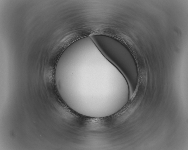 X0000113850092200909241014