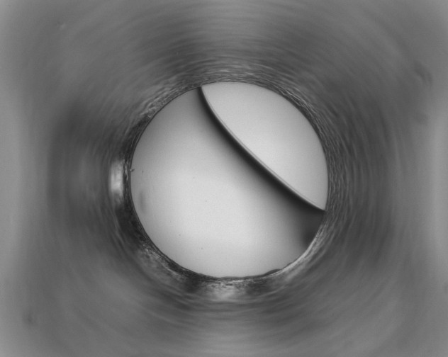 X0000113850094200909241014