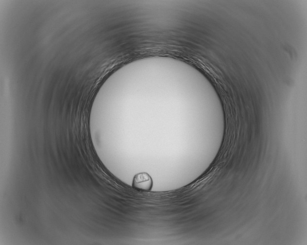 X0000113850096200909241014