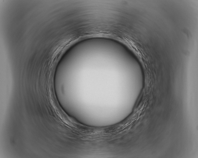 X0000113850097200909241013