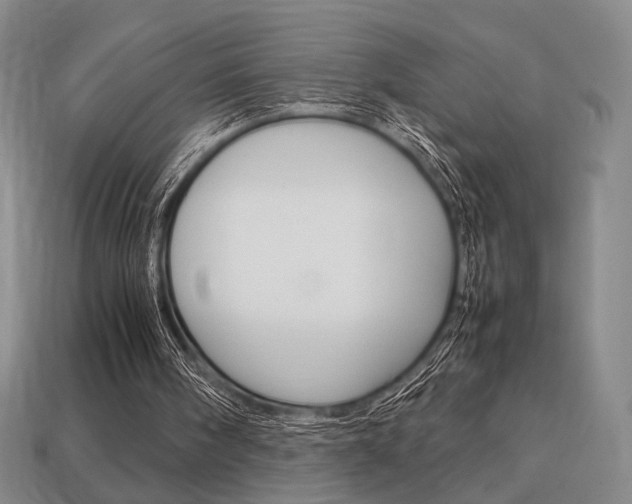 X0000113850098200909241013