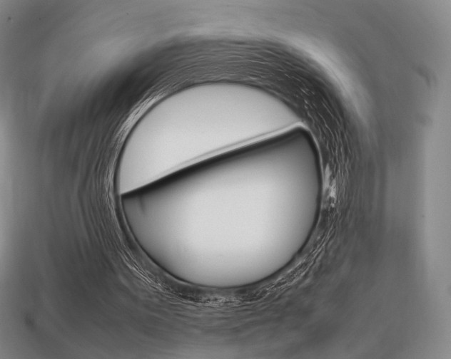 X0000113850099200909241013