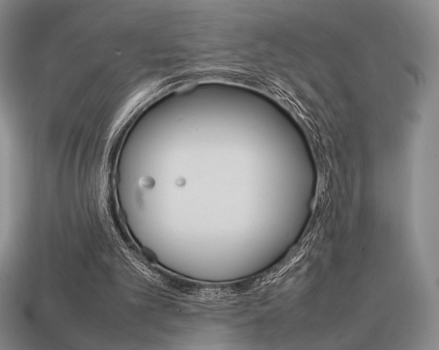 X0000113850101200909241013