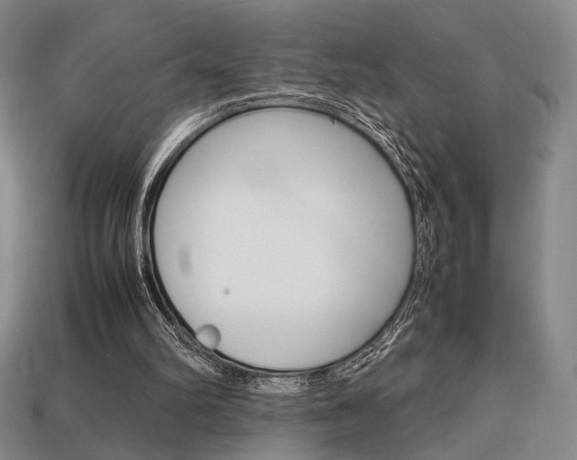 X0000113850102200909241013