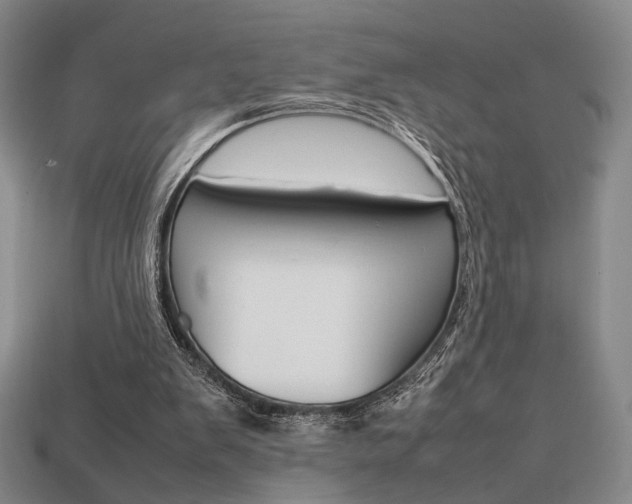 X0000113850103200909241013