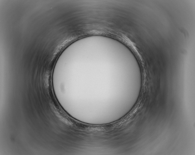 X0000113850106200909241013