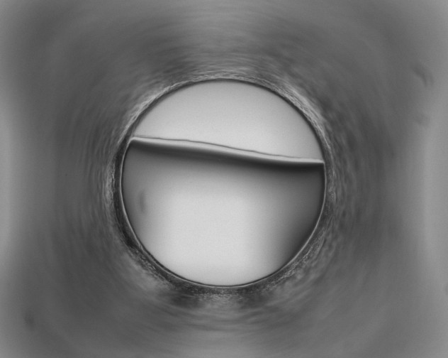 X0000113850107200909241013