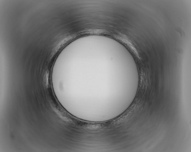 X0000113850110200909241013